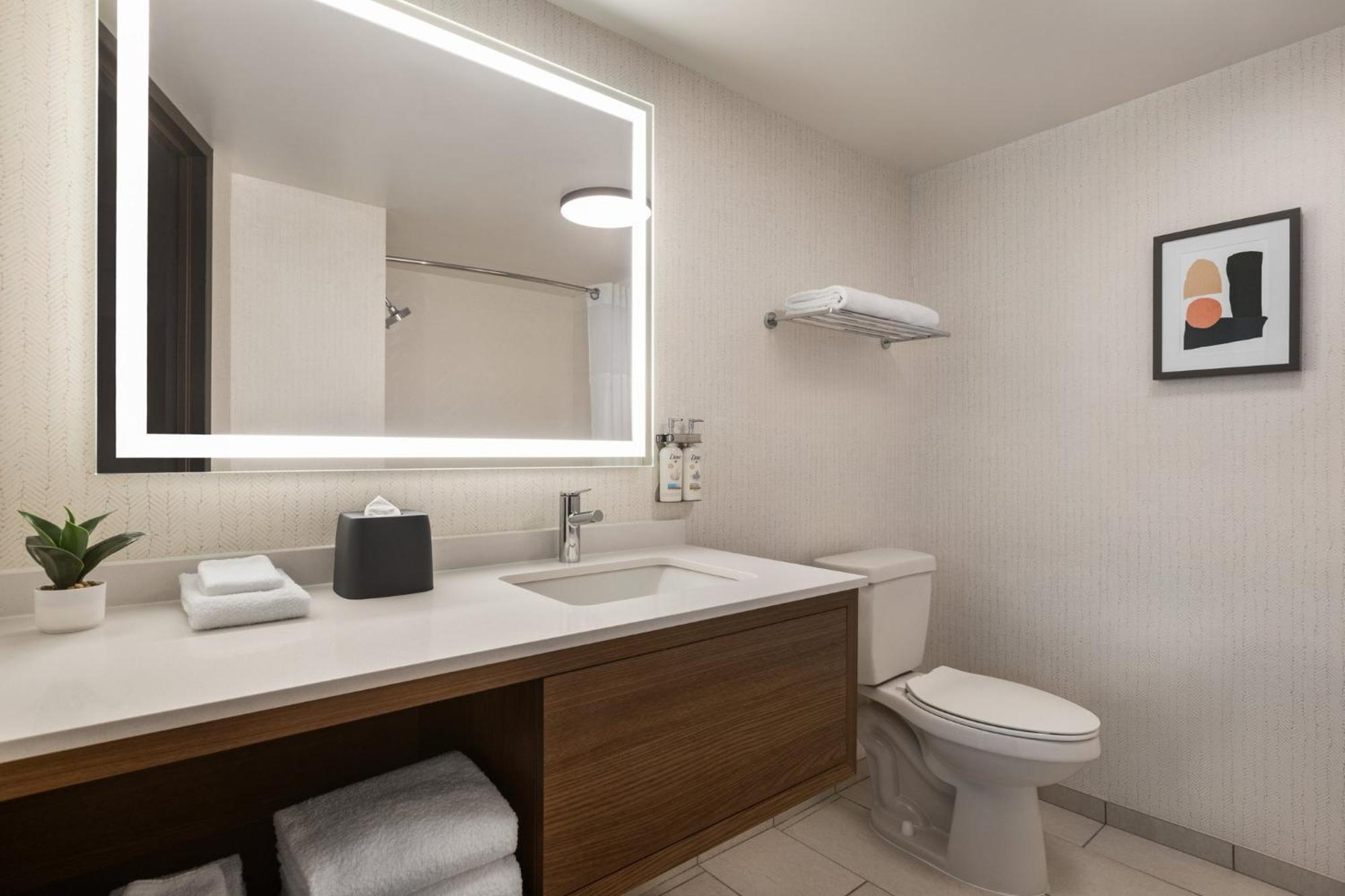 Holiday Inn Nashville Downtown - Stadium By Ihg Ngoại thất bức ảnh